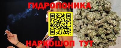 МДПВ Пенза